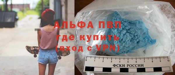 тгк Гусев