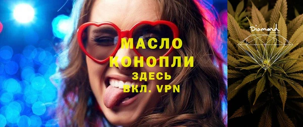 тгк Гусев