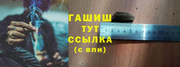 тгк Гусев