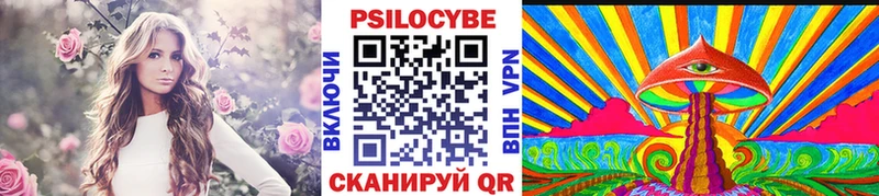 Псилоцибиновые грибы Psilocybine cubensis  Купить закладки  Северобайкальск 
